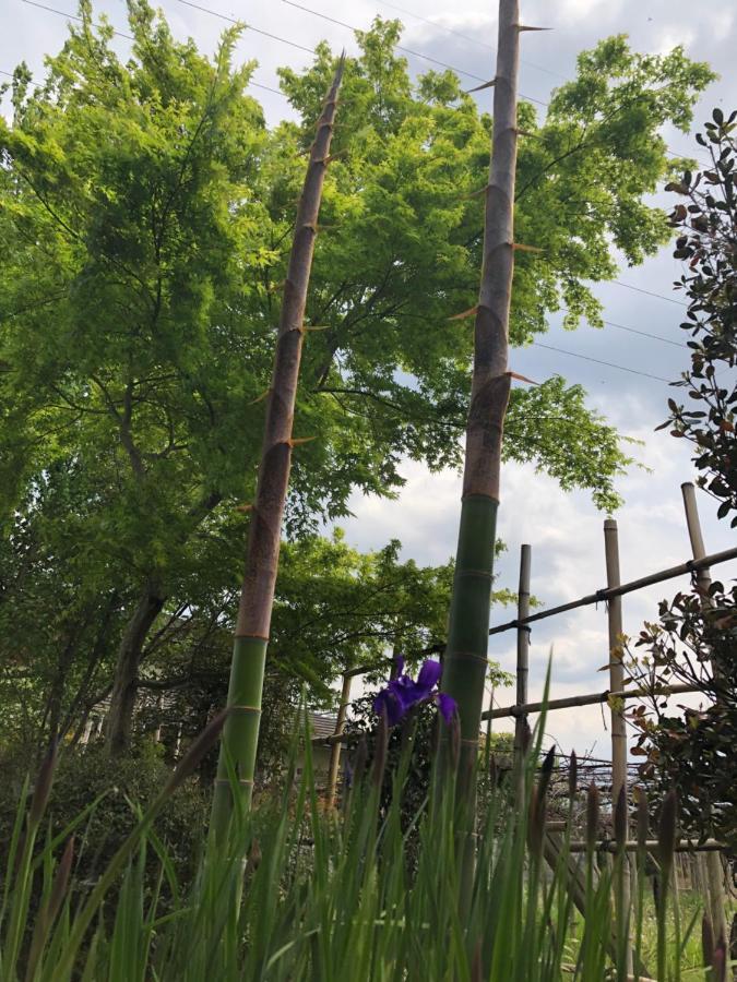 フクロウの御宿 Fuefuki Buitenkant foto