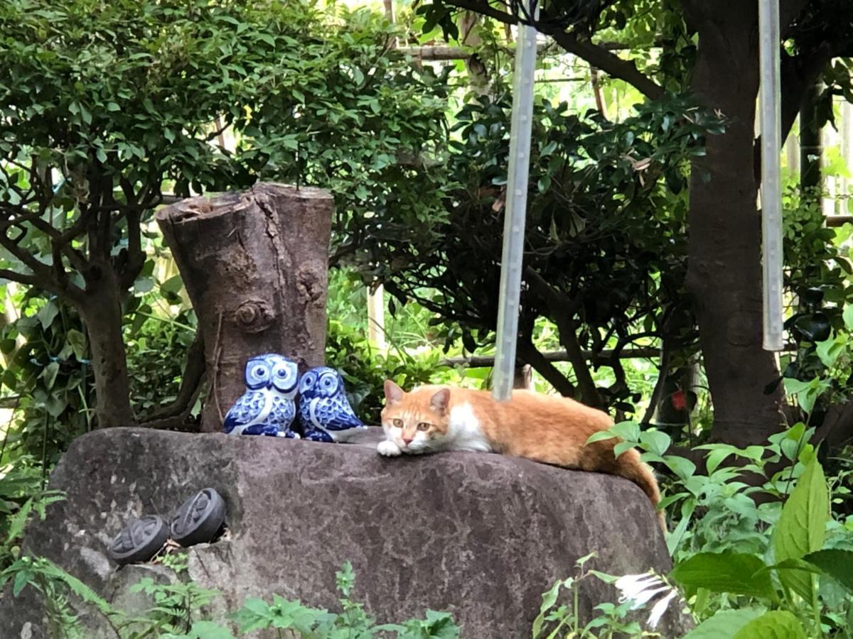 フクロウの御宿 Fuefuki Buitenkant foto